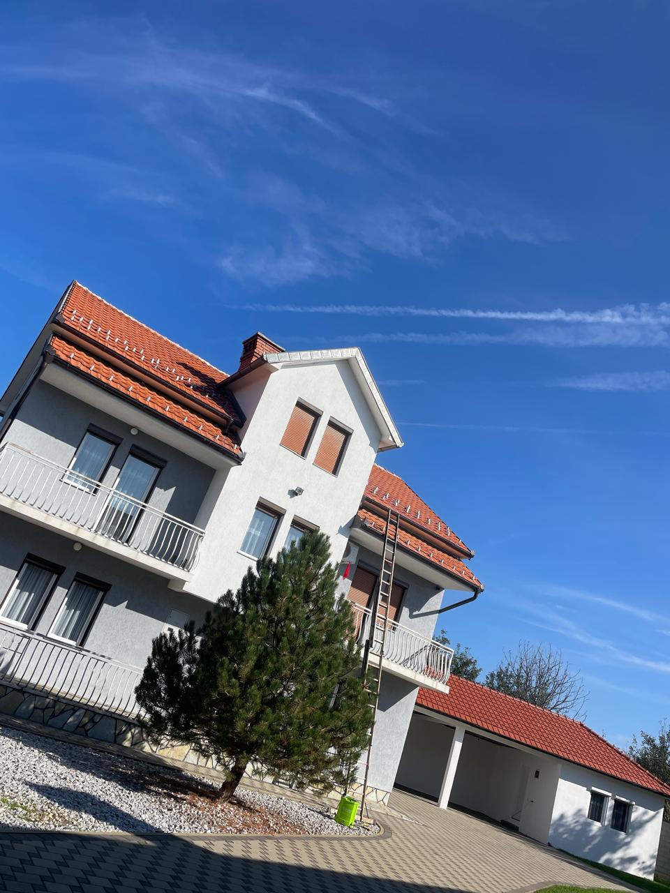 Pas pastrimit me presion – projekti 2