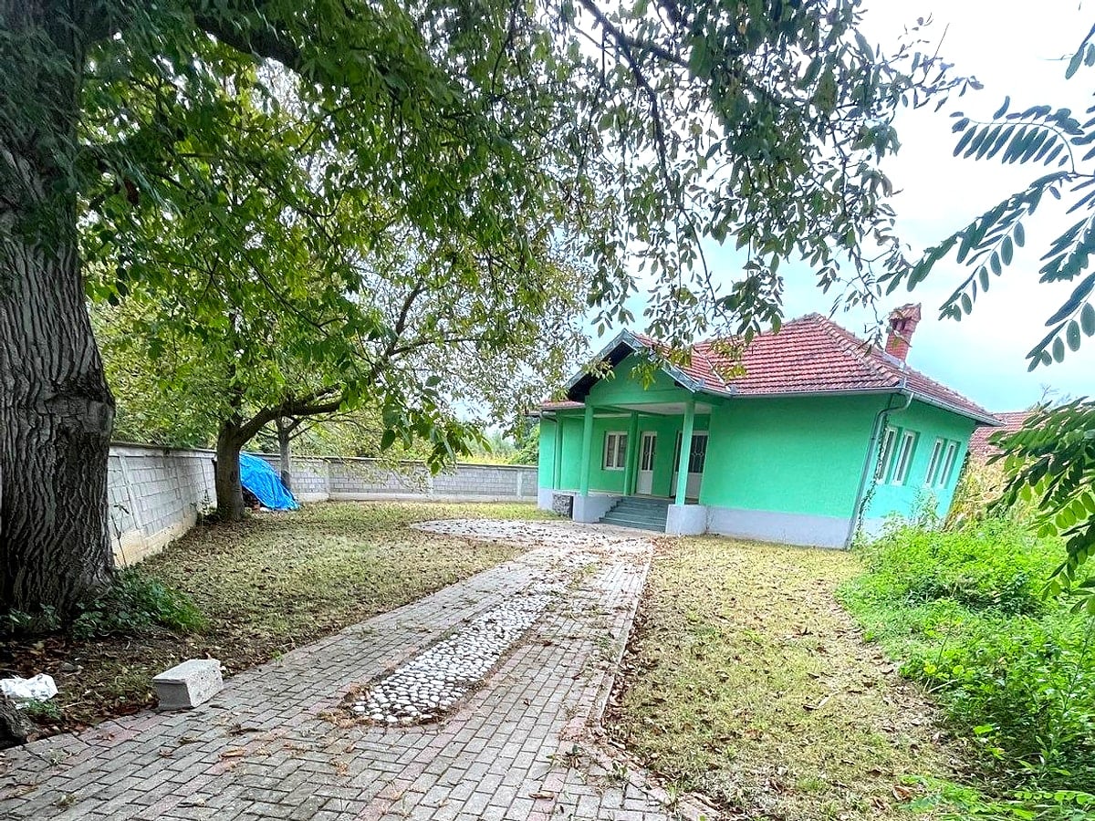 Shteg me kocka të ndotura – gjethe të rëna dhe bar i pakrehur para pastrimit